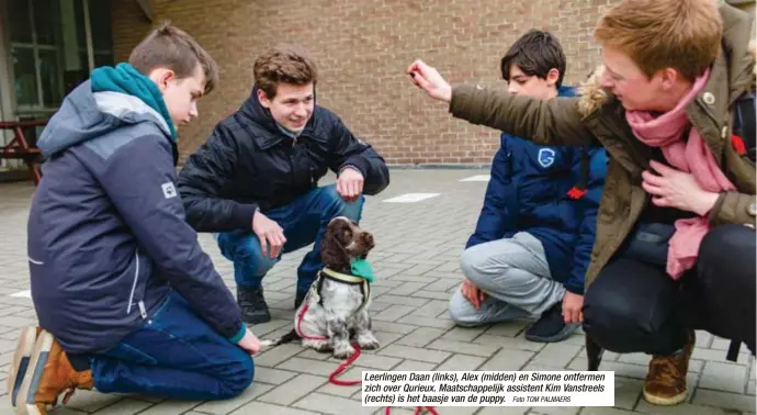  ?? Foto TOM PALMAERS ?? Leerlingen Daan (links), Alex (midden) en Simone ontfermen zich over Qurieux. Maatschapp­elijk assistent Kim Vanstreels (rechts) is het baasje van de puppy.