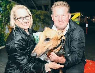  ??  ?? Warragul Cup winner Aeroplane Eric with trainer Glenn Rounds and partner Vick Wisener after the win on Saturday night at Logan Park.