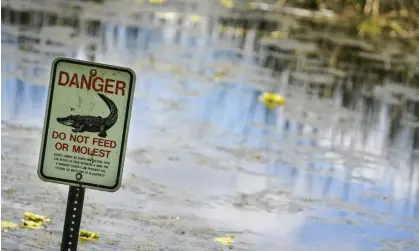  ?? Photograph: Martha Asencio-Rhine/AP ?? An alligator warning sign is posted in waters near the scene where a man was found dead.