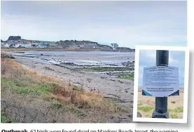  ?? ?? Outbreak 62 birds were found dead on Maidens Beach. Insert, the warning poster at Ayr Beach urging people not to go near wild or sick birds