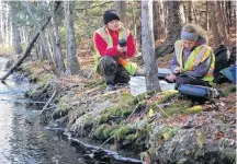  ?? Contribute­d ?? Members of Coastal Action conduct research during last year’s Lahave River Watershed Project.