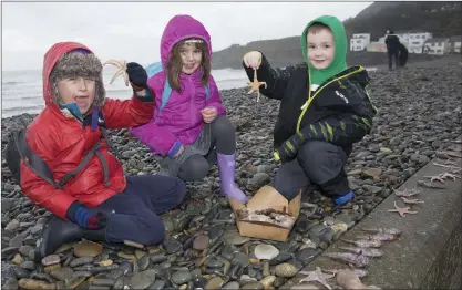  ??  ?? Alex and Ava Bailey and Fionn Costello who were collecting the different types of sealife.