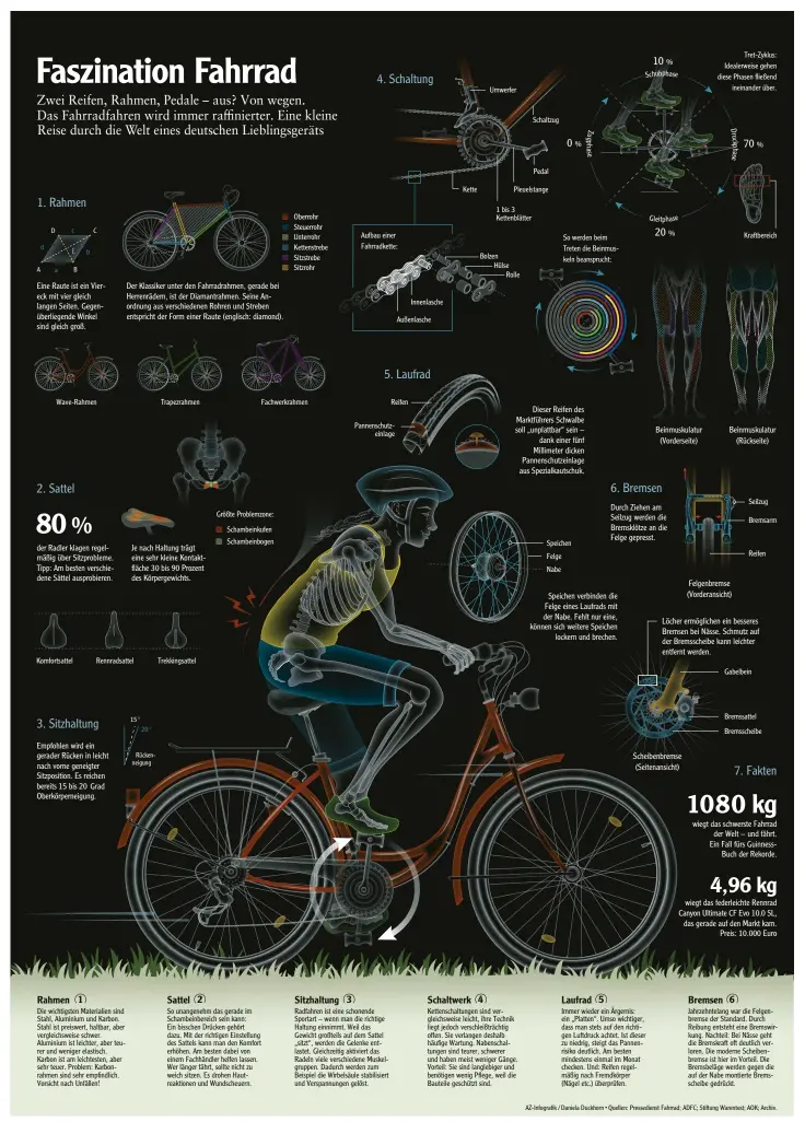  ?? AZ-Infografik / Daniela Duckhorn • Quellen: Pressedien­st Fahrrad; ADFC; Stiftung Warentest; AOK; Archiv. ??