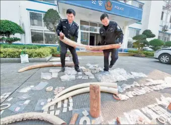  ?? JIANG KEHONG/ XINHUA ?? Forest police display a seizure of ivory in Putian, Fujian province, on Monday. A total of 61.6 kilograms of related products, worth about 2.4 million yuan ($350,000), was seized after police busted a gang involved in the illicit purchase,...