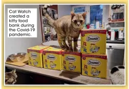  ?? ?? Cat Watch created a kitty food bank during the Covid-19 pandemic.