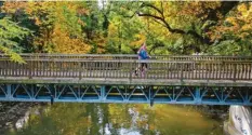  ?? Foto: Alexander Kaya ?? Der Donausteg zum Schwal muss saniert werden, doch der Neubau wird teurer als ge‰ dacht.