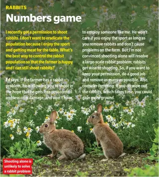  ??  ?? Shooting alone is unlikely to solve a rabbit problem