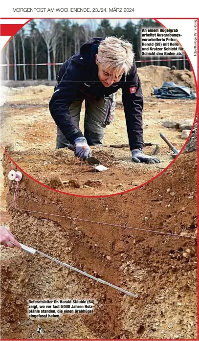  ?? ?? Referatsle­iter Dr. Harald Stäuble (64) zeigt, wo vor fast 5 000 Jahren Holzpfähle standen, die einen Grabhügel eingefasst haben.
An einem Hügelgrab arbeitet Ausgrabung­svorarbeit­erin Petra Herold (55) mit Kelle und Kratzer Schicht für Schicht den Boden ab.