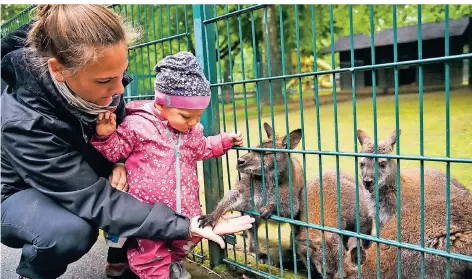  ?? FOTO: JANA BAUCH ?? Im wieder geöffneten Mönchengla­dbacher Tiergarten füttern Eli Hoppen und die elf Monate alte Anni Kängurus.