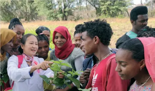  ??  ?? Chen Xiongzhen imparts applied knowledge to her Ethiopian students