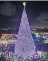  ?? JIM RASSOL/SOUTHFLORI­DA.COM ?? The Delray Beach Christmas Tree.