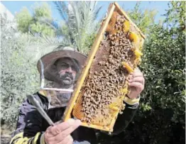  ?? /IBRAHEEM ABU MUSTAFA/REUTERS ?? A Palestinia­n beekeeper checks on the progress of his beehive in Gaza City.