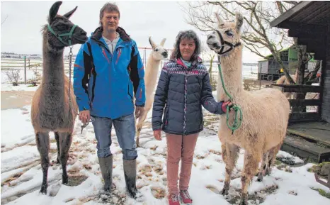  ?? FOTOS: SCHOLZ ?? Carmen und Ulrich Steeb führen seit 1999 den Lama-Hof in Nellingen. Derzeit halten sie insgesamt 30 der flauschige­n Tiere.