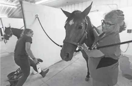  ?? PHOTOS BY MARK HOFFMAN/MILWAUKEE JOURNAL SENTINEL ?? Sherri Jibson calms Coy before examining its hooves at MKE Urban Stables in Milwaukee. The site is home for an equine therapy program and the Milwaukee Police Department Mounted Patrol.