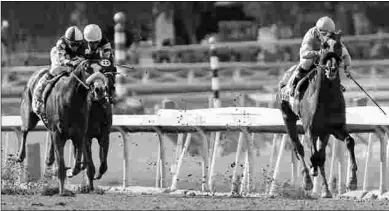  ?? PHOTO CREDIT ?? Authentic (right) in March beat Honor A. P. (left), who turned the tables in the Santa Anita Derby.