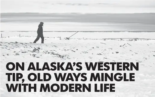  ?? TREVOR HUGHES, USA TODAY ?? A patroller searches for signs of polar bears in the town dump outside Wales, Alaska. Climate change experts say faster-melting sea ice is causing polar bears to move onto land and seek out new food sources, like garbage.