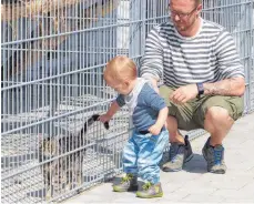  ??  ?? Manche Katze lässt sich von Kindern streicheln.