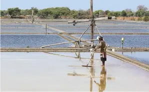  ?? FRIZAL/JAWA POS ?? PRODUKTIF: Petani menggarap tambak garam di kawasan Sedati, Sidoarjo.