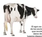  ??  ?? El agro es uno de los sectores que recolecta datos desde lugares dispersos.