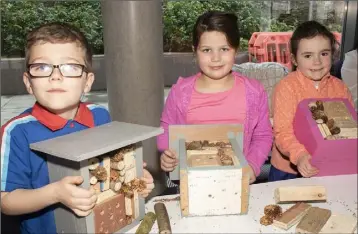  ??  ?? Brandon Hillis, Sorcha Flynn and Seoige Kelly with their Bee Hotels at the Bee Hotel Workshop in Wexford Library recently.