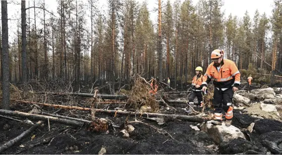  ?? FOTO: AKI PAAVOLA/LEHTIKUVA ?? ■ Släcknings­arbetet i Kalajokisk­ogarna kommer att pågå i många dagar.