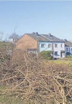  ?? FOTO: RP ?? Auf rund einem Fünftel der städtische­n Grünfläche­n an der Berliner Höhe ist der Bestand jetzt deutlich ausgedünnt.