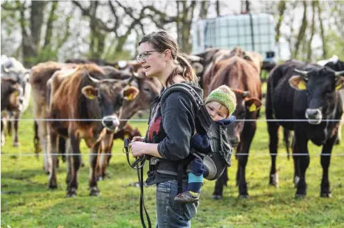  ?? Foto: dpa/Patrick Pleul ?? Ideal ortsansäss­ige Landwirtsc­haft: Ökobäuerin Anja Hradetzky vom Hof »Stolze Kuh« mit ihrem neun Monate alten Sohn Leander