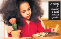  ??  ?? A young girl making a living cactus garden