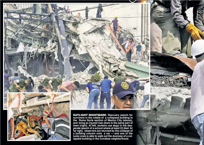  ??  ?? DAYLIGHT NIGHTMARE: Rescuers search for survivors in the rubble of a collapsed building in the Roma Norte section of Mexico City (above), and bring an injured man down in the same part of town (right). At left, workers use dogs in the desperate search...