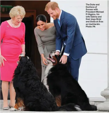  ??  ?? The Duke and Duchess of Sussex with President Michael D Higgins, his wife Sabina and their dogs Bród and Síoda at Áras an Uachtaráin. Photo: PA