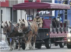  ?? JOHN LUCAS ?? Ron Topolnitsk­y and Belgian horses Dick and Sugar from Longriders in Gibbons provided a shuttle service for shoppers on Whyte Avenue, the main street at the heart of Strathcona.