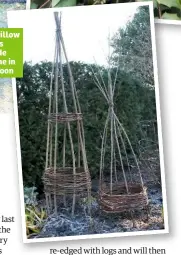 ??  ?? These willow supports I’ve made will come in useful soon