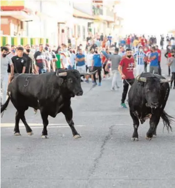  ?? // REPORTAJE GRÁFICO: H. FRAILE ?? Un aspecto de la calle del encierro en Villaseca
