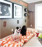  ??  ?? This undated photo provided by interior designer Vern Yip shows Yip's dogs at his home in Atlanta.
