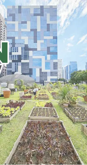  ?? ?? Urban Farmers PH in the middle of vibrant BGC