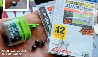  ??  ?? Size 12 hooks are ideal for a split-shot rig
