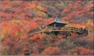  ?? PROVIDED TO CHINA DAILY ?? Colorful Pofengling scenic area in Fangshan district in the fall. It offers beautiful scenery every season.