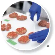  ?? FOTOS: GENTILEZA IMPOSSIBLE FOODS Y CEDOC. ?? MANOS CIENTÍFICA­S. Un total de 123 investigad­ores fabrican hamburgues­as vegetales con textura y sabor de carne.