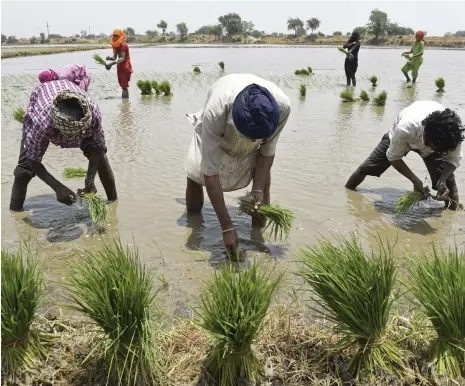  ?? AFP ?? Analysts say India’s heavily agrarian economy and workforce should benefit from increased spending on infrastruc­ture