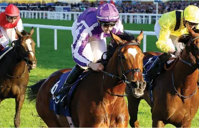  ?? Picture: www.theguardia­n.com ?? MAGICAL MOMENT: Magical wins the in this race for trainer Aidan O’Brien. Grade 1 Champion Stakes at Ascot on Saturday, registerin­g the first win