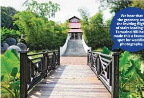  ??  ?? We hear that the greenery and the inviting ight of stairs leading to Tamarind Hill have made this a favourite spot for wedding photograph­y.