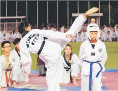  ??  ?? Exponents perform at the Kuching Festival CASH Martial Arts Display 2018 at Sarawak Hockey Stadium in Padungan.