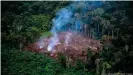  ??  ?? The growing demand for meat means that rainforest­s like the Amazon suffer.