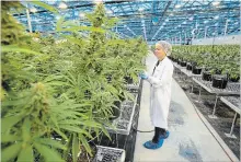  ?? ADRIAN WYLD THE CANADIAN PRESS ?? HEXO CEO Sebastien St-Louis said his company aims “to become one of the largest cannabis companies in the world.”