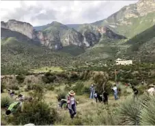  ??  ?? Protegen. Saltillens­es toman acciones, como reforestar la sierra de Zapalinamé, y así mitigar los efectos del cambio climático.