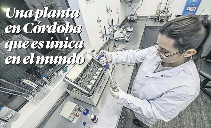  ?? (PRENSA PORTA) ?? Laboratori­o. Pegadas a la planta de elaboració­n de quimosina están las instalacio­nes en las que se analiza el producto obtenido por AGBM.