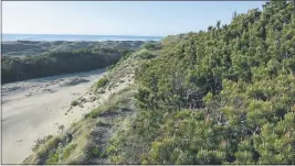  ?? MICHAEL VAN HATTEM PHOTO ?? Pictured is a view of the Samoa Dunes and Wetlands.