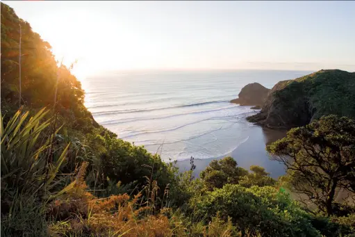  ??  ?? Above: Overlookin­g the bay. :Photo courtesy of the Motu Kaikoura Trust