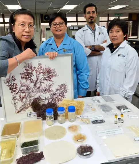  ??  ?? Studying seaweeds: Universiti Malaya’s team that researched how red seaweed could be turned into pulp to make paper and bioethanol, (from left) Prof dr Phang Siew Moi, assoc Prof Lim Phaik eem, Phd student Mohd J. Hessami and dr yeong Hui yin. (right)...