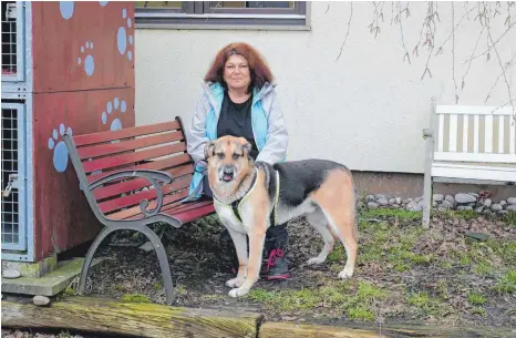  ?? FOTO: BIG ?? Ein gutes Team: Gassigänge­rin Susanne Bingsohn und der sechs Jahre alte Schäferhun­d-Mischling Charly.